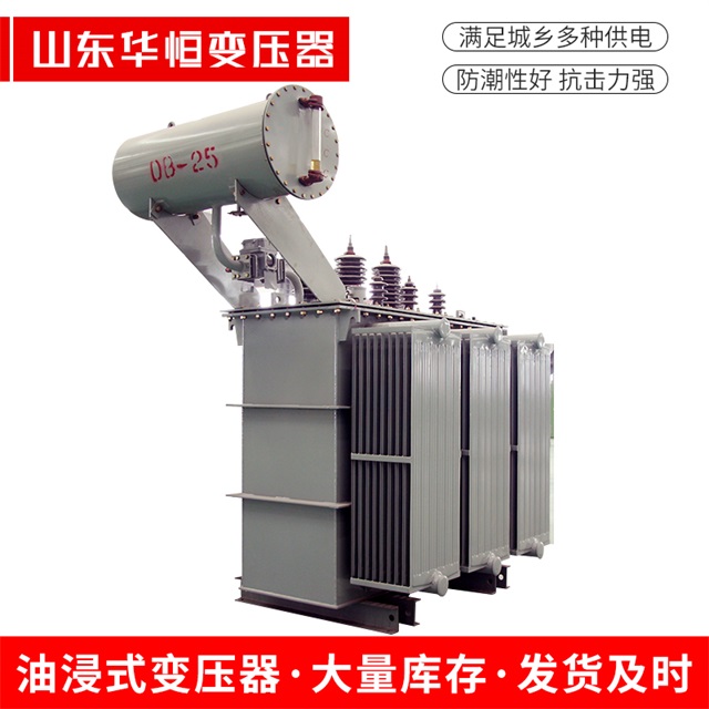 S11-10000/35东湖东湖东湖电力变压器厂家