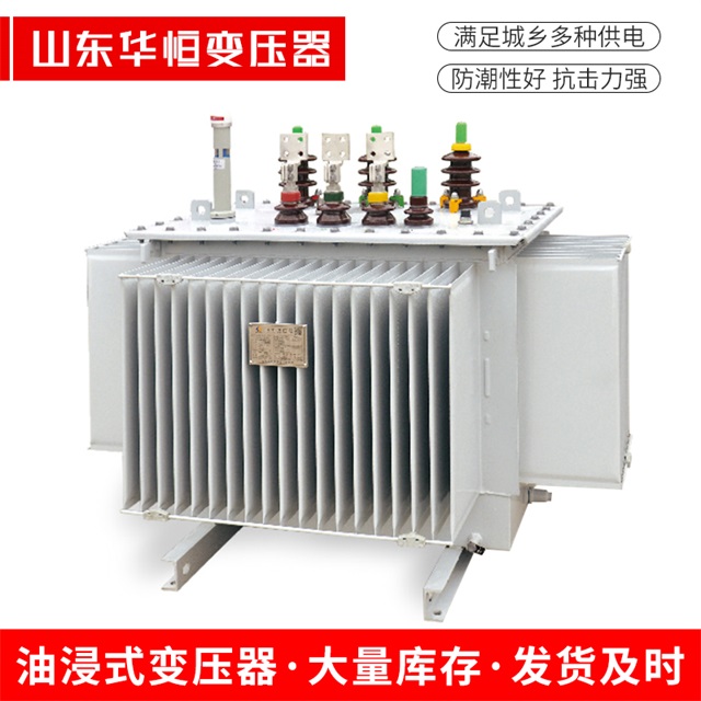 S13-10000/35东湖东湖东湖电力变压器
